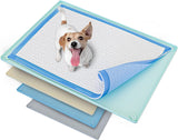 Skywin Pee Pad Holder - No Spill and Leaks Silicone Puppy Pad Holder, Secure 30 x 23 Inches Pee Pad (30Lx23W)