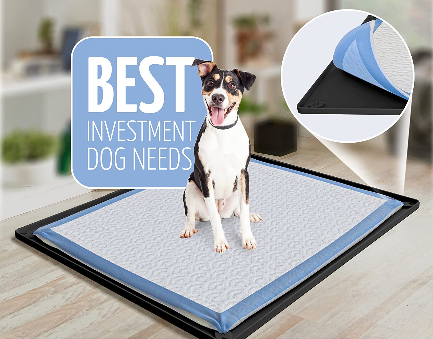 Silicone puppy pad holder hotsell